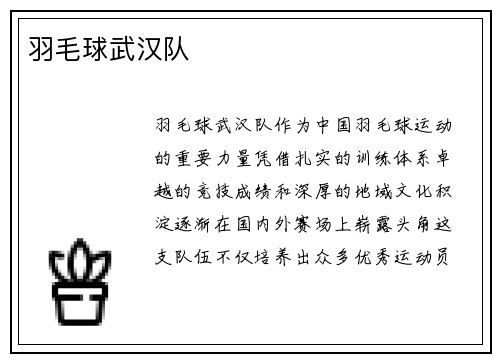 羽毛球武汉队